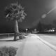 Santa Cruz at night. And the fog that never ended.